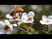 Load and play video in Gallery viewer, Ouchie Momma Nipple Rescue by Rumina Naturals